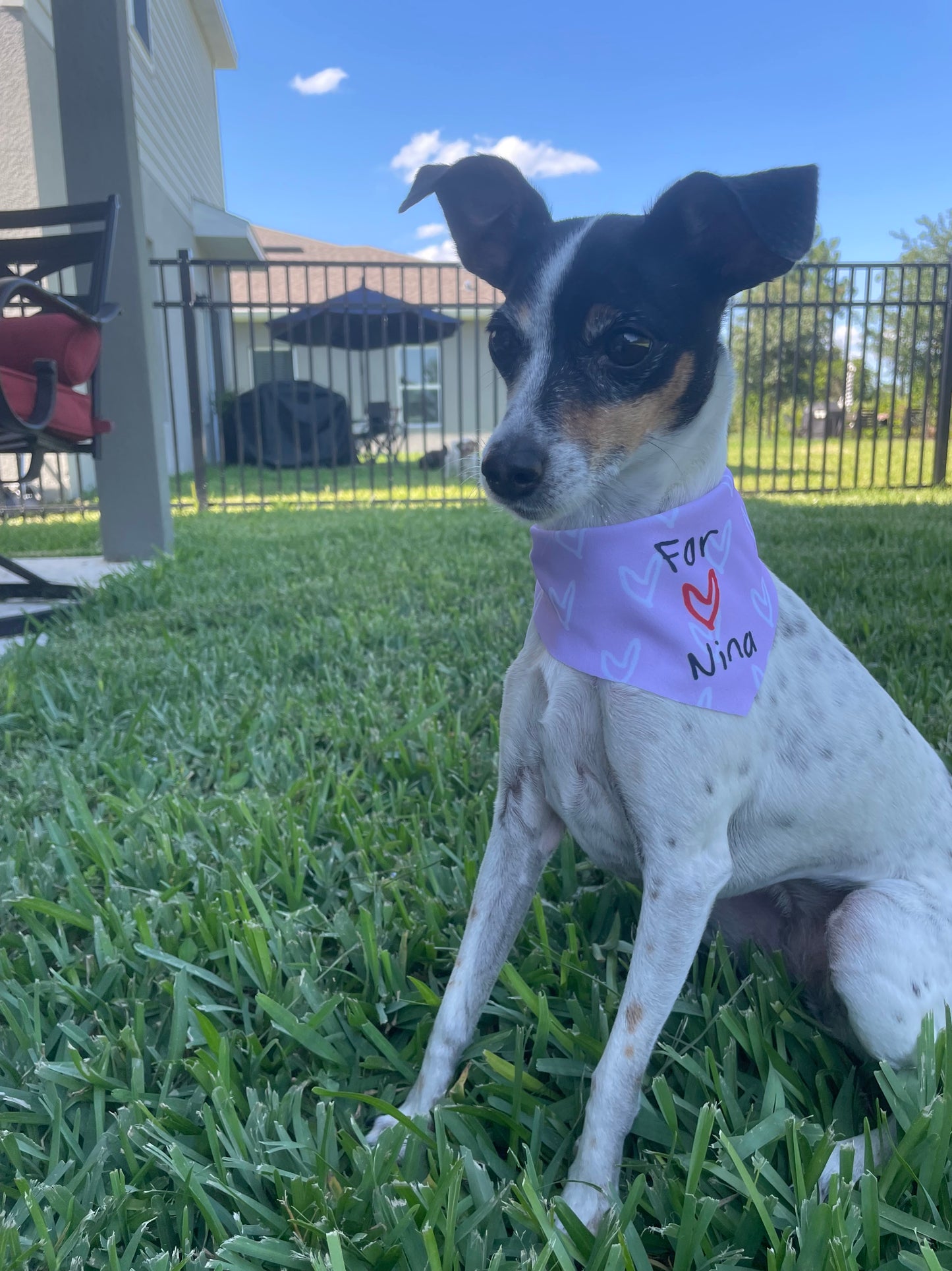 Pet Bandanas