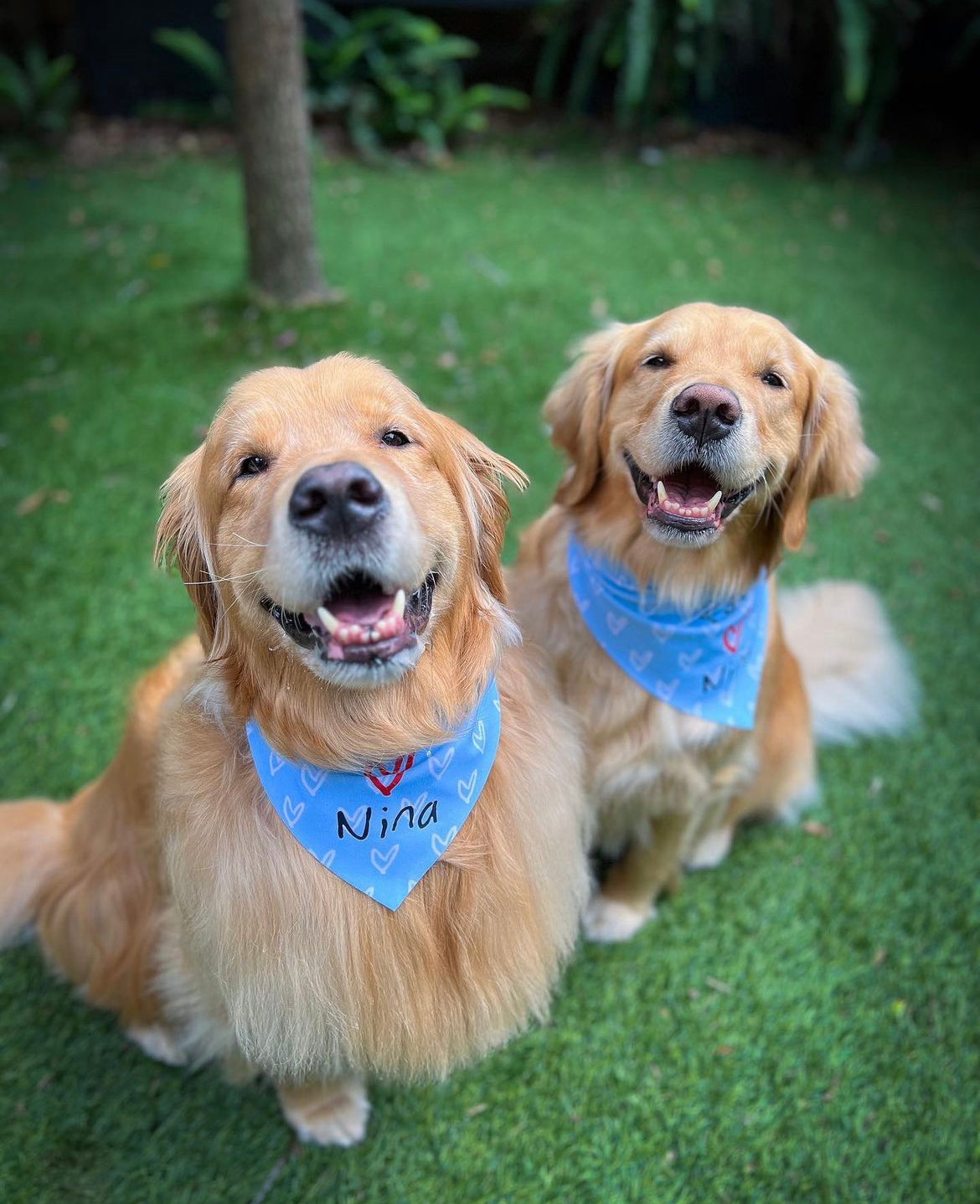 Pet Bandanas
