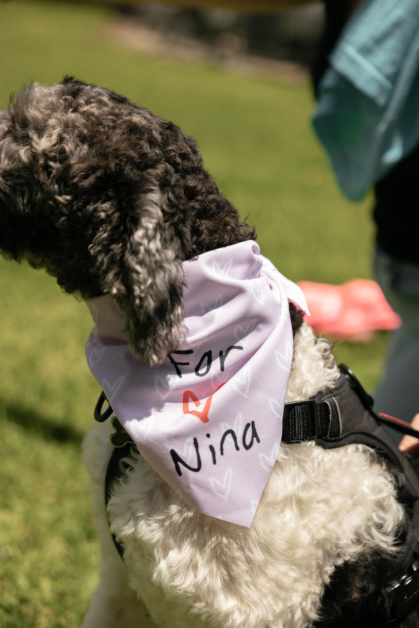 Pet Bandanas